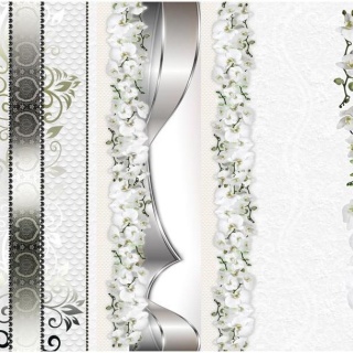 Fototapeta - Srebro, biel, Orchidee