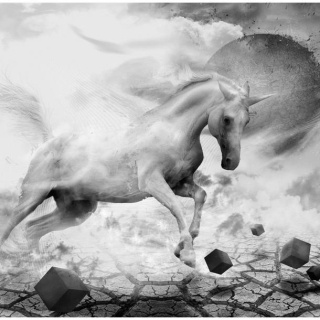Fototapeta - Szary Jednorożec Fantasy