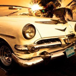 Fototapeta - Viva Havana! samochód