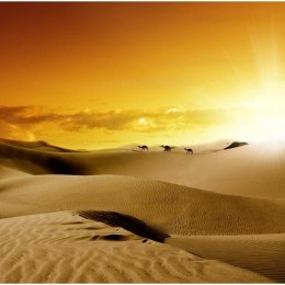 Fototapeta - Zachód słońca na pustyni