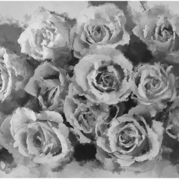 Fototapeta - szare róże, kwiaty