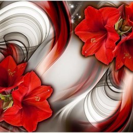 Fototapeta - Amarylis Czerwone kwiaty