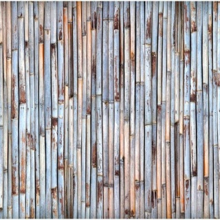 Fototapeta - Bambusowa ściana, Spa