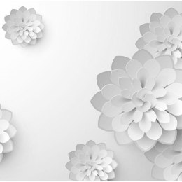 Fototapeta - Białe kwiaty 3D optyczne