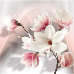 Fototapeta - Białe magnolie, róż, 3D