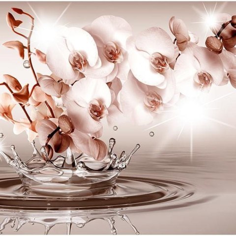 Fototapeta - Kwiaty, woda, sepia 3D