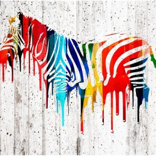 Fototapeta - Kolorowa zebra, Graffiti