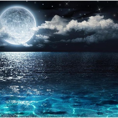 Fototapeta - Księżyc nad wodą, Noc