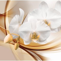 Fototapeta - Kwiat orchidei 3D