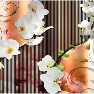 Fototapeta - Orchidea, Pomarańczowa