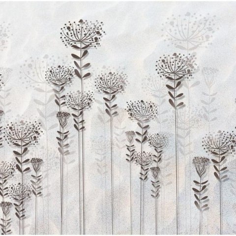 Fototapeta - Rysunek kwiatów, Biała