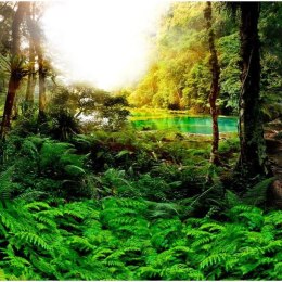 Fototapeta - Tropikalny las, dżungla