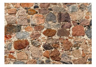 Fototapeta samoprzylepna - Brązowy Mur