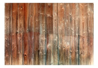 Fototapeta samoprzylepna - Drewno, Natura