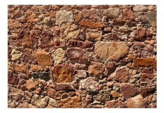 Fototapeta samoprzylepna - Brązowy Mur