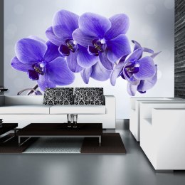 Fototapeta samoprzylepna - Fiolet - Orchidea