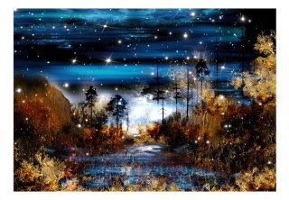 Fototapeta samoprzylepna - Magiczny las, Noc