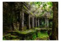 Fototapeta samoprzylepna - Ruiny w Dżungli