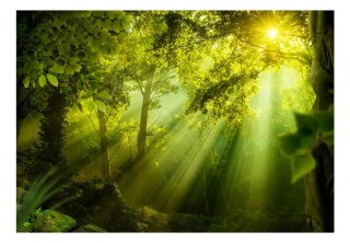 Fototapeta samoprzylepna - Zielona, Natura