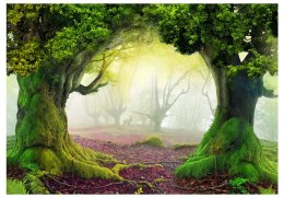 Fototapeta samoprzylepna - Zaczarowany las