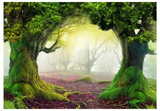 Fototapeta samoprzylepna - Magiczny Las