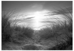 Fototapeta samoprzylepna - Czarnobiała Plaża