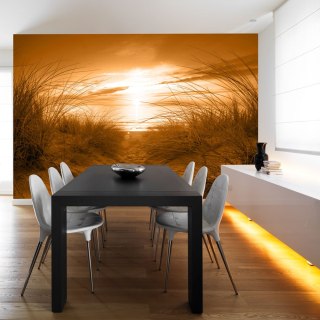 Fototapeta samoprzylepna - Plaża, Sepia