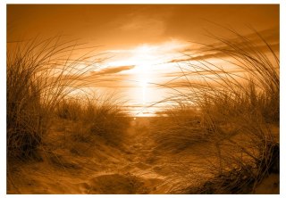 Fototapeta samoprzylepna - Plaża, Sepia