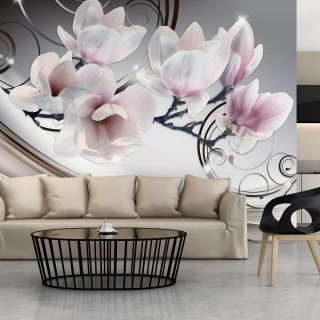 Fototapeta - Magnolia, Kwiat, Glamour