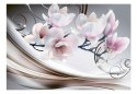 Fototapeta - Magnolia, Kwiat, Glamour
