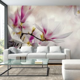 Fototapeta - Różowe magnolie, Modern