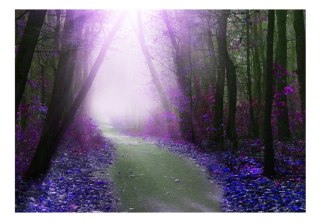 Fototapeta samoprzylepna - Fioletowy Las
