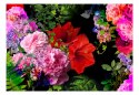 Fototapeta samoprzylepna - Kolorowe Kwiaty