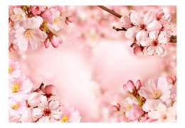 Fototapeta samoprzylepna - Magiczny kwiat wiśni