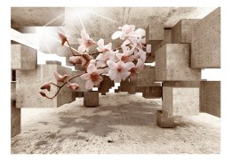 Fototapeta samoprzylepna - Kwiaty 3D