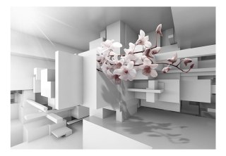 Fototapeta samoprzylepna - Jasne Kwiaty 3D