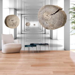 Fototapeta samoprzylepna - Biała Iluzja 3D