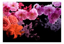 Fototapeta samoprzylepna - Różowe Kwiaty