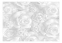 Fototapeta - Białe Pastelowe Róże
