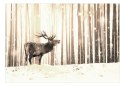 Fototapeta - Jeleń na śniegu - sepia