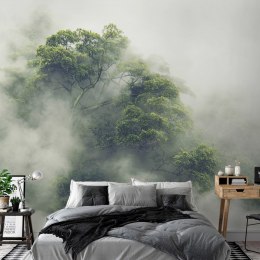 Fototapeta - Las równikowy we mgle