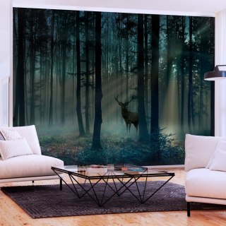 Fototapeta - Mroczny Las, Jeleń
