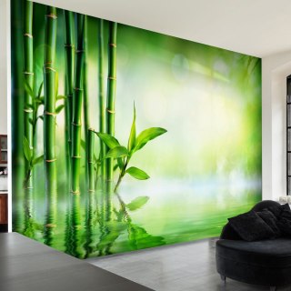 Fototapeta samoprzylepna - Bambus, Woda, Spa