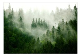 Fototapeta samoprzylepna - Las Iglasty, Mgła