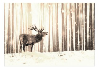 Fototapeta samoprzylepna - Jeleń, Sepia