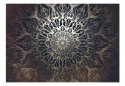 FOTOTAPETA SAMOPRZYLEPNA 3D NA ŚCIANĘ 196x140 Pajęczyna (brązowy)