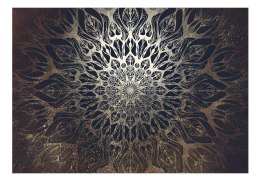 FOTOTAPETA SAMOPRZYLEPNA 3D NA ŚCIANĘ 196x140 Pajęczyna (brązowy)
