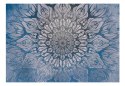 FOTOTAPETA SAMOPRZYLEPNA 3D NA ŚCIANĘ 196x140 Pajęczyna (niebieski)