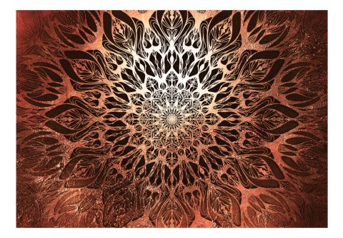 FOTOTAPETA SAMOPRZYLEPNA 3D NA ŚCIANĘ 196x140 Pajęczyna (pomarańczowy) FOTOTAPETA SAMOPRZYLEPNA 3D NA ŚCIANĘ 196x140 Pajęczyna (pomarańczowy)
