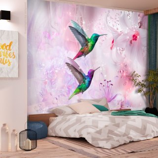 Fototapeta - Kolorowe kolibry, Fiolet